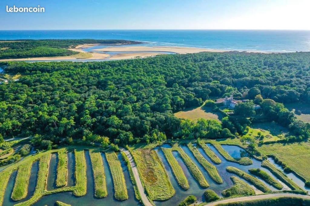 Studio Au Coeur Du Golf De Port Bourgenay, Proche Des Sables D'Olonne Talmont-Saint-Hilaire Dış mekan fotoğraf